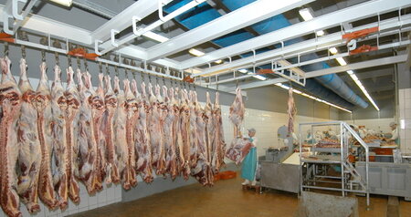 Дезинсекция на мясокомбинате в Троицке, цены на услуги