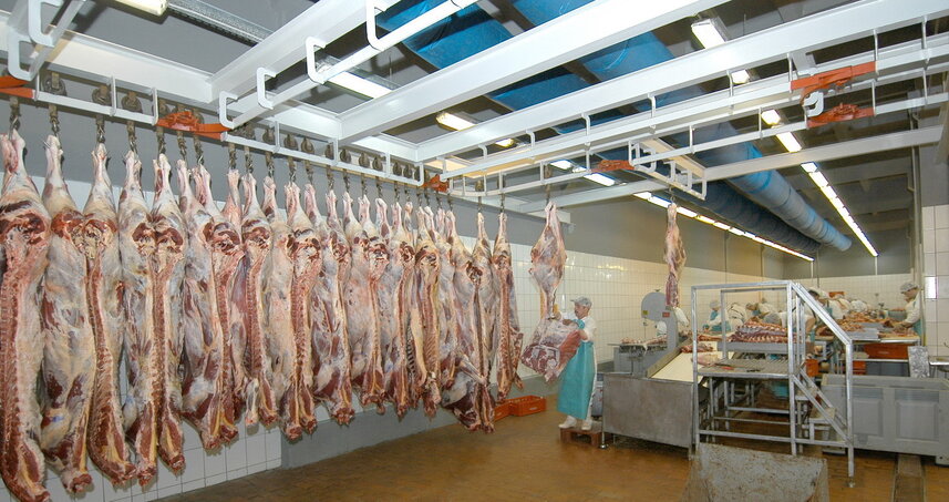 Дезинсекция на мясокомбинате в Троицке, цены на услуги